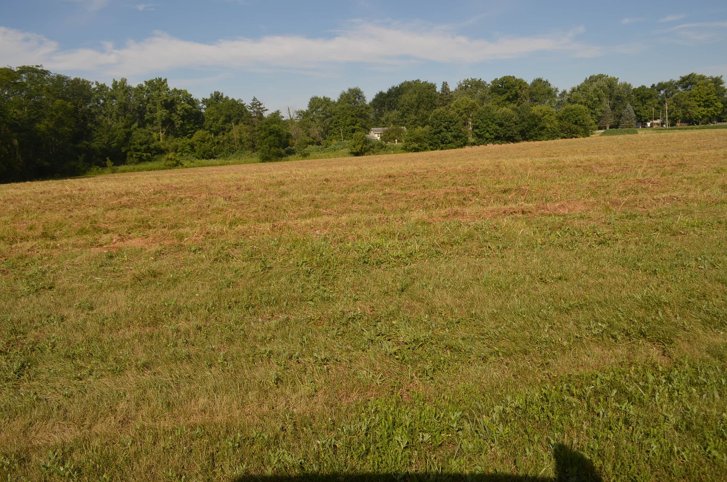 Property photo 15 - REAL ESTATE AUCTION - 26+/- ACRES IN 3 TRACTS IN SOUTHWEST ALLEN COUNTY, INDIANA